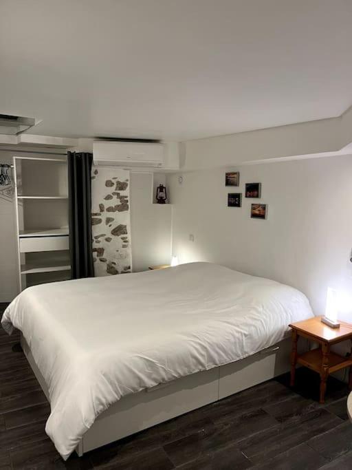 Appartement Climatise Albi - Centre 외부 사진
