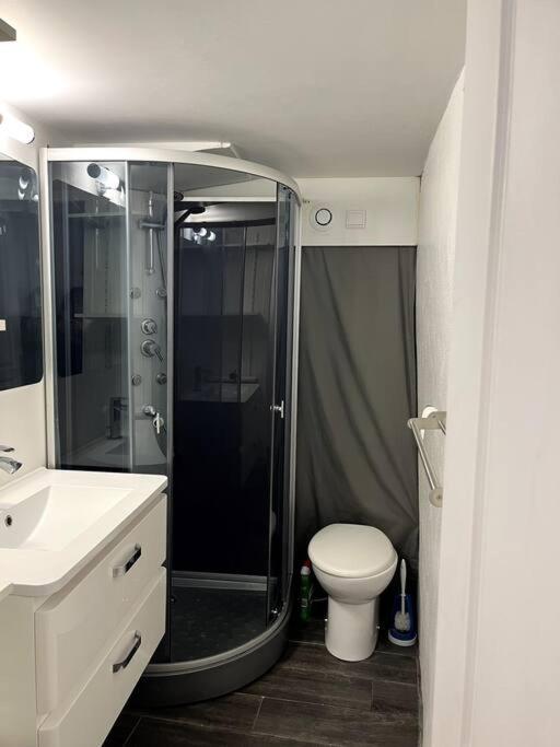 Appartement Climatise Albi - Centre 외부 사진